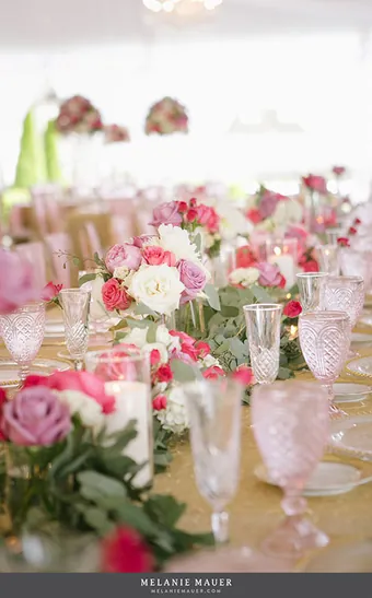 Wedding wedding party coordinated by Great Expectations KY in Central Kentucky